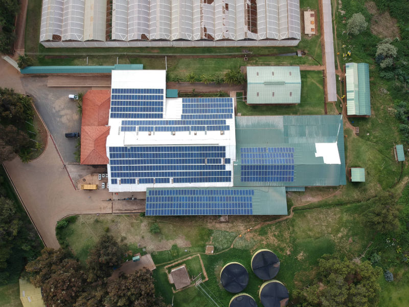 234 kW grid-tied | 3 days, Batian, flower farm, Kenya